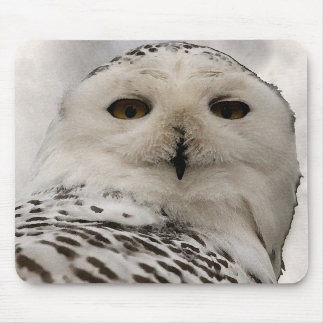 snowy owl mouse mat (Front)