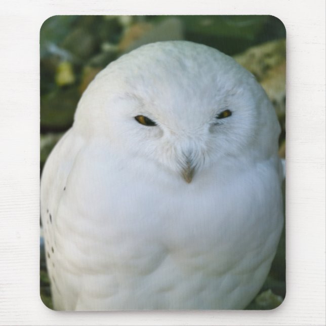 Snowy Owl Mouse Mat (Front)