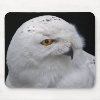 Snowy Owl Mousemat