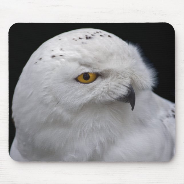 Snowy Owl Mousemat (Front)