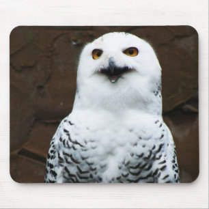 Snowy Owl mpcna Mouse Mat