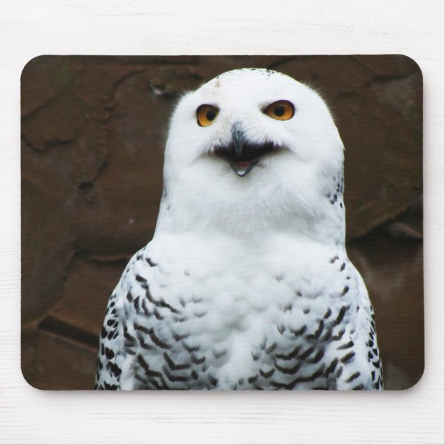 Snowy Owl mpcnm Mouse Mat (Front)