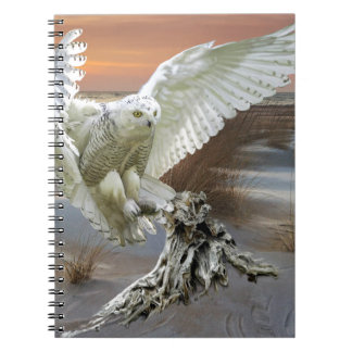Snowy Owl Notebook