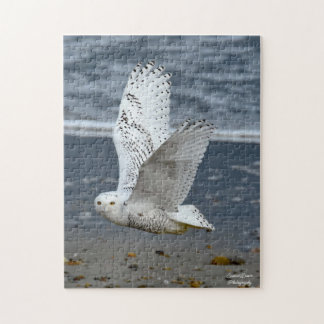 Snowy Owl on a beach  Jigsaw Puzzle