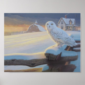 Snowy Owl on a Fence Poster
