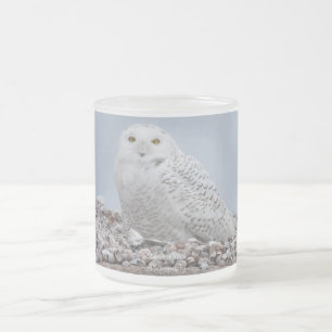 Snowy Owl on shells   Coffee Mug