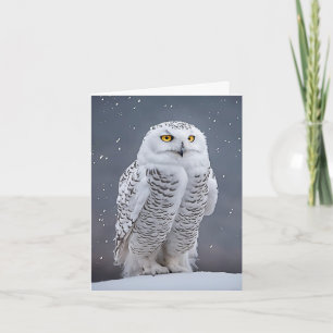 Snowy Owl On Snow Note Card