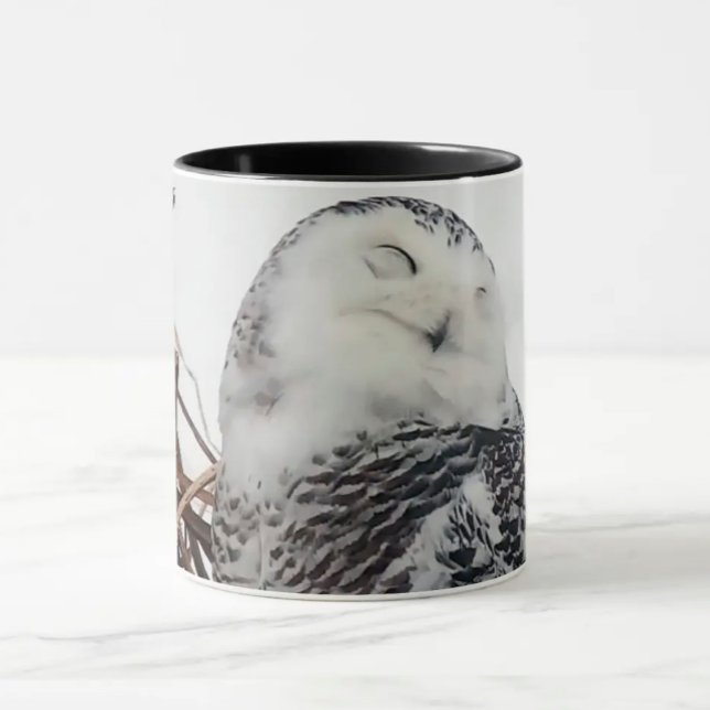 Snowy Owl on the Mississippi Flyway Mug (Creator Uploaded)