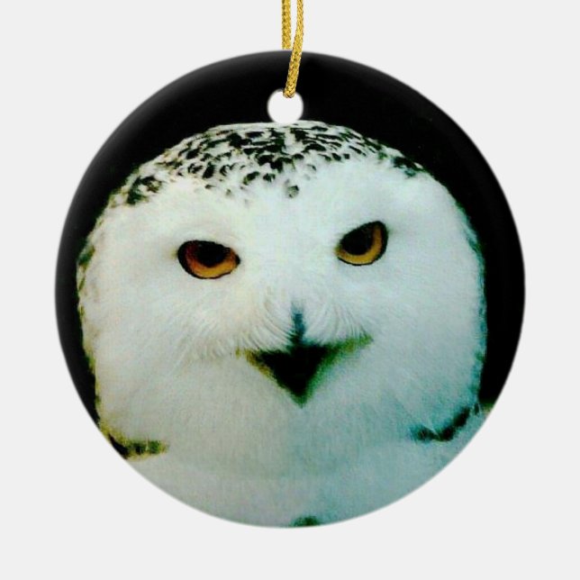 Snowy Owl Ornament (Front)