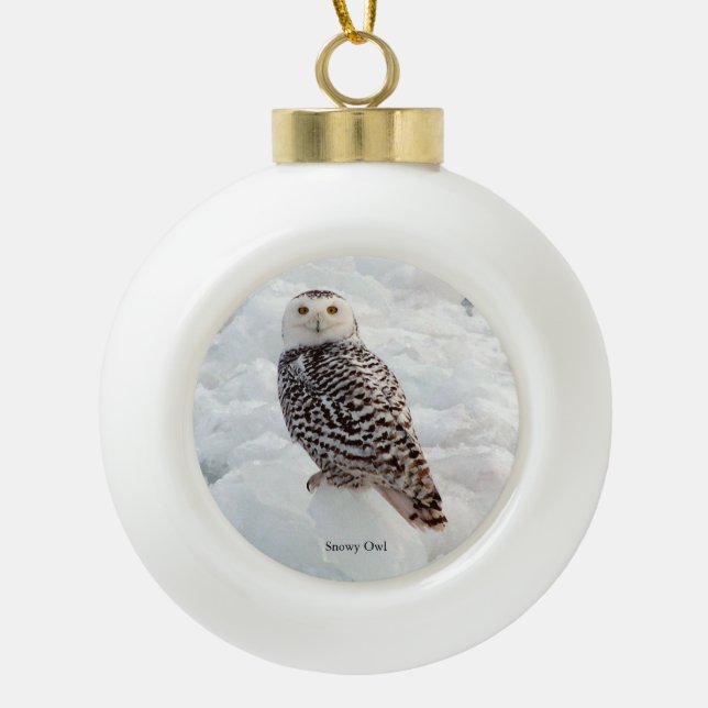 Snowy Owl ornament (Front)