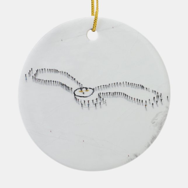 Snowy Owl ornament (Front)