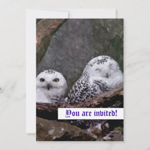 Snowy Owl Pair Woodland Wildlife Art Invitation