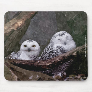 Snowy Owl Pair Woodland Wildlife Art Mouse Mat