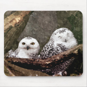 Snowy Owl Pair Woodland Wildlife Art Mouse Mat