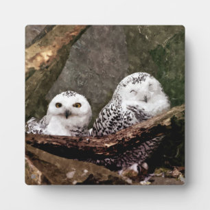 Snowy Owl Pair Woodland Wildlife Art Plaque
