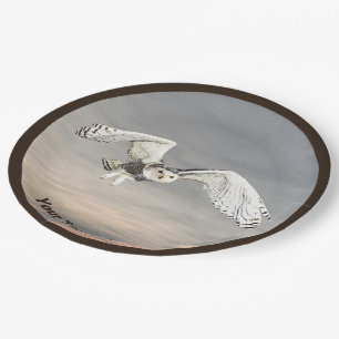 Snowy Owl Paper Plate