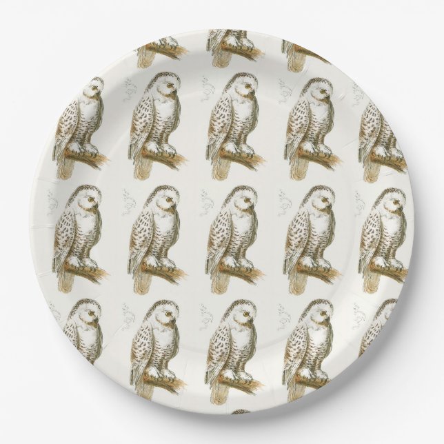 Snowy Owl Paper Plate (Front)