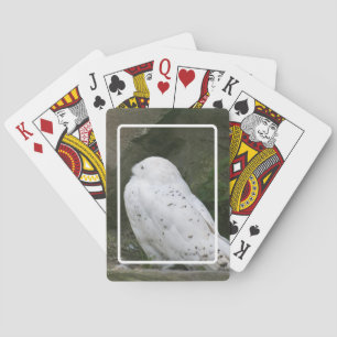 Snowy Owl Playing Cards