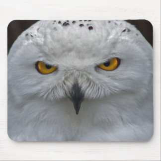 Snowy Owl Portrait Mousemat