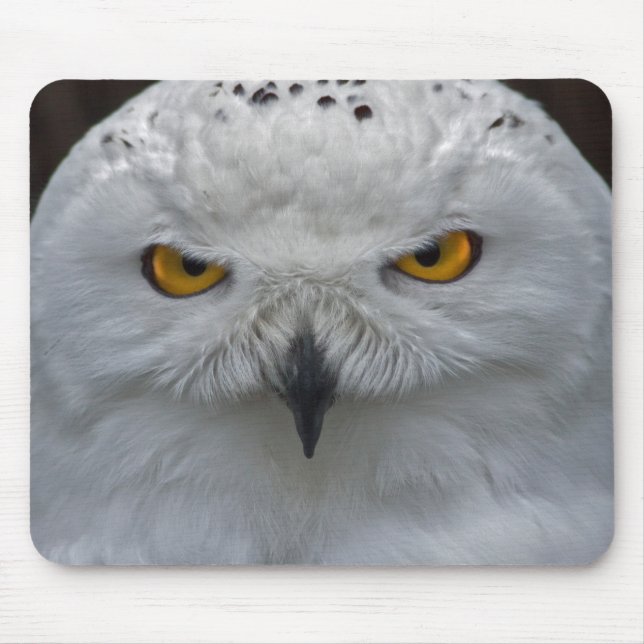 Snowy Owl Portrait Mousemat (Front)