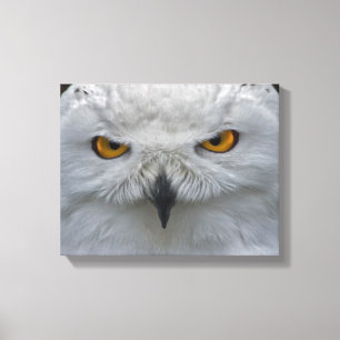 Snowy Owl Portrait Wrapped Canvas Print
