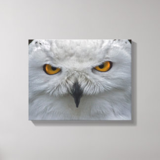 Snowy Owl Portrait Wrapped Canvas Print
