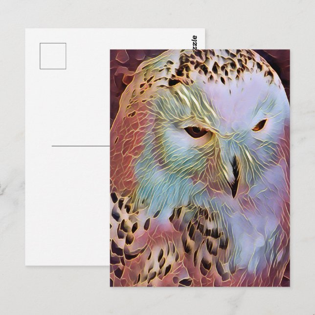 SNOWY OWL  POSTCARD (Front/Back)