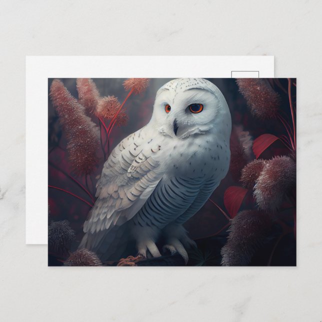 Snowy owl Postcards (Front/Back)