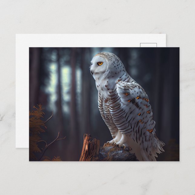 Snowy owl Postcards (Front/Back)