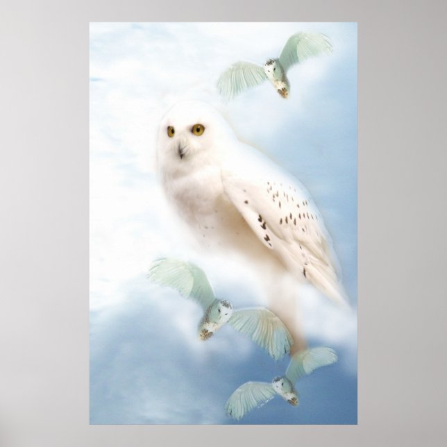 Snowy Owl poster print (Front)