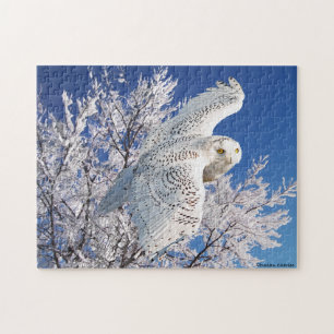 "Snowy Owl" Puzzle