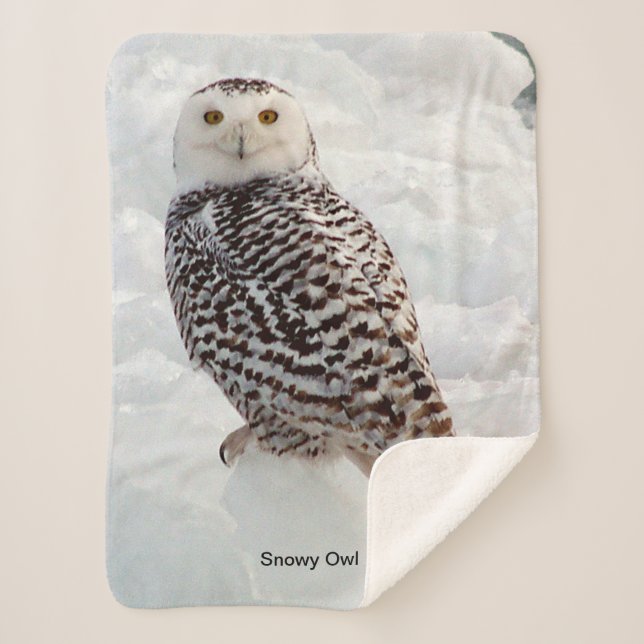 Snowy Owl Sherpa Blanket (Front)