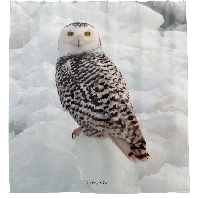 Snowy Owl shower curtain (Front)