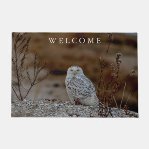 Snowy owl sitting on a rock doormat