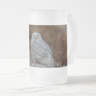 Snowy owl sitting on a rock frosted glass beer mug