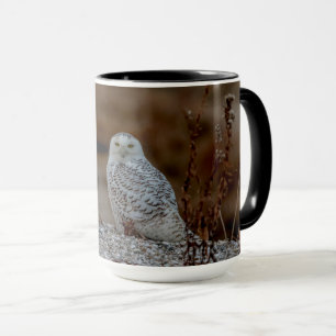 Snowy owl sitting on a rock mug