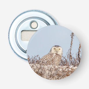 Snowy owl sitting on the beach bottle opener