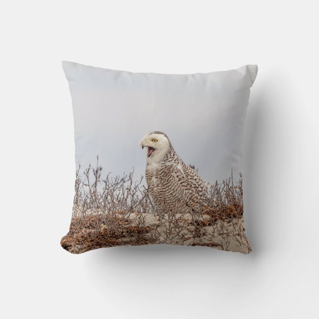 Snowy owl sitting on the beach cushion (Front)