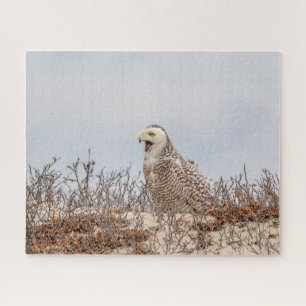 Snowy owl sitting on the beach jigsaw puzzle