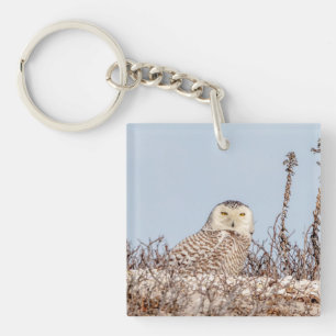 Snowy owl sitting on the beach key ring