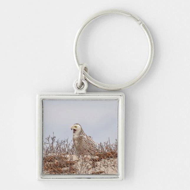 Snowy owl sitting on the beach key ring (Front)