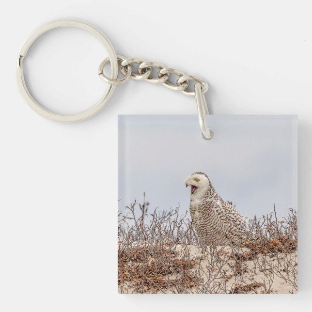 Snowy owl sitting on the beach key ring (Front)