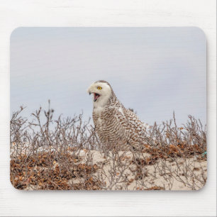 Snowy owl sitting on the beach mouse mat