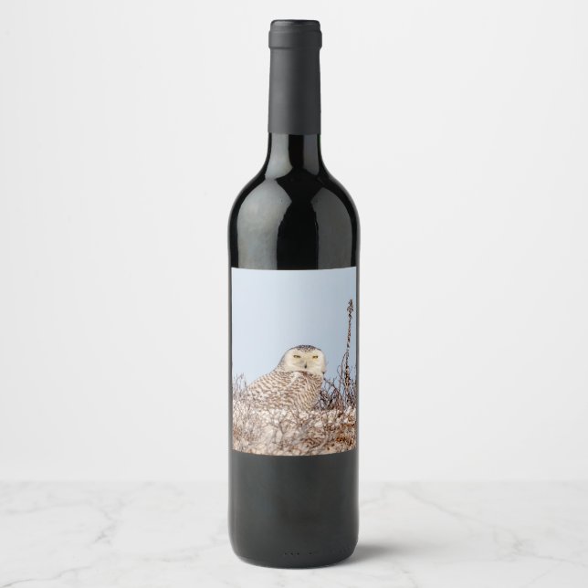 Snowy owl sitting on the beach wine label (Front)