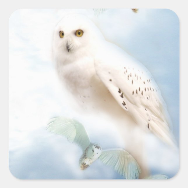 Snowy Owl Square Sticker (Front)