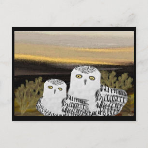 Snowy Owl Sunrise Postcard