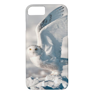 Snowy Owl taking off from snow iPhone 8/7 Case