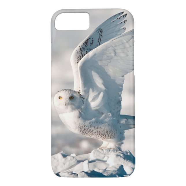 Snowy Owl taking off from snow Case-Mate iPhone Case (Back)