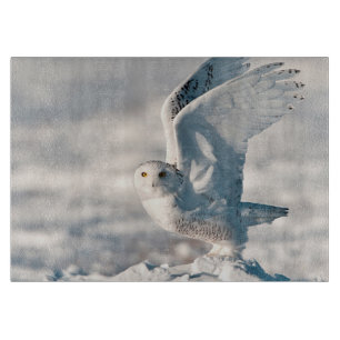 Snowy Owl taking off from snow Cutting Board