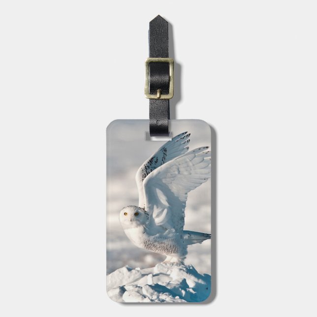Snowy Owl taking off from snow Luggage Tag (Front Vertical)